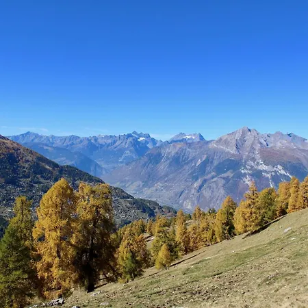 Flat In Nendaz Near Ski Slopes & Cable Cars Apartment *