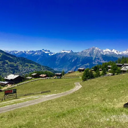 Apartament Flat In Nendaz Near Ski Slopes & Cable Cars Nendaz