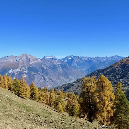 Flat In Nendaz Near Ski Slopes & Cable Cars